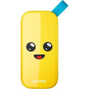 External SSD SANDISK 1TB USB 3.2 Read speed 800 MBytes/sec SDSSDE30-1T00-G25F