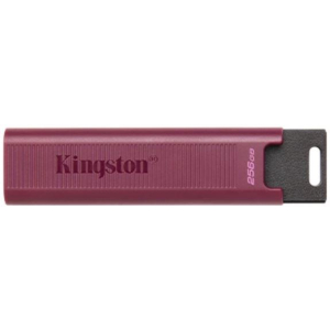 MEMORY DRIVE FLASH USB3.2/256GB DTMAXA/256GB KINGSTON