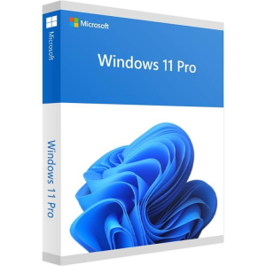 Software MICROSOFT Win Pro FPP 11 64-bit Eng Intl USB Win Pro Retail HAV-00163