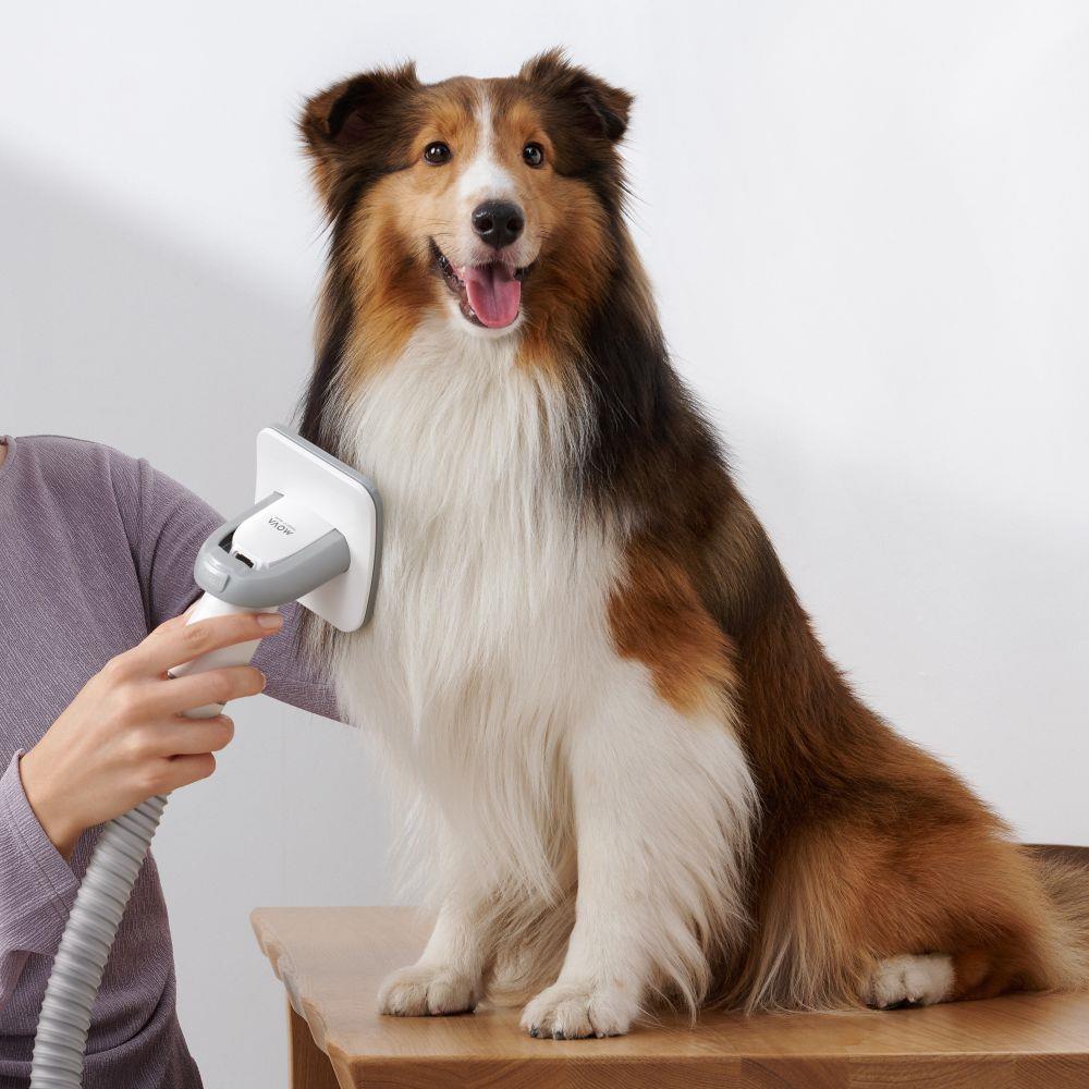 Vacuum Cleaner DREAME Mova G1 Pro Pet Grooming Kit 350 Watts Capacity 1 l Noise 36 dB Weight 2.9 kg PHC10A - Image 7