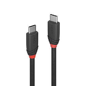 CABLE USB3.2 C-C 1M/BLACK 36906 LINDY - Image 2