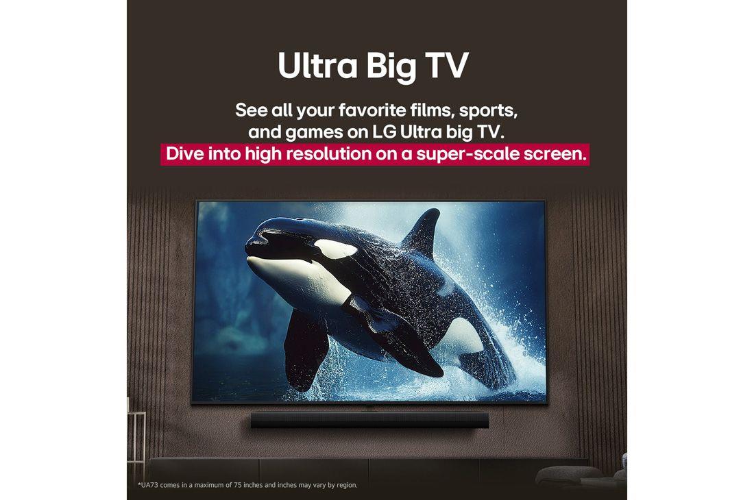 TV Set LG 55" 4K/Smart 3840x2160 Wireless LAN Bluetooth webOS 55UA73003LA - Image 11