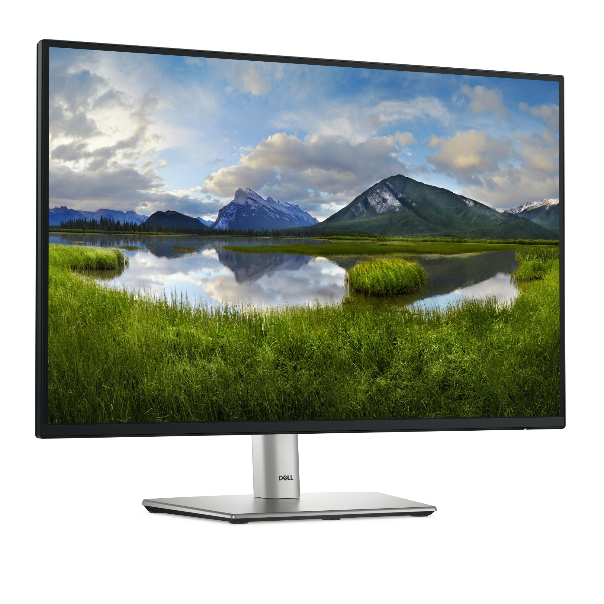 LCD Monitor DELL P2425E 24" Business Panel IPS 1920x1200 16:10 100Hz Matte 8 ms Swivel Pivot Height adjustable Tilt 210-BMJF - Image 8
