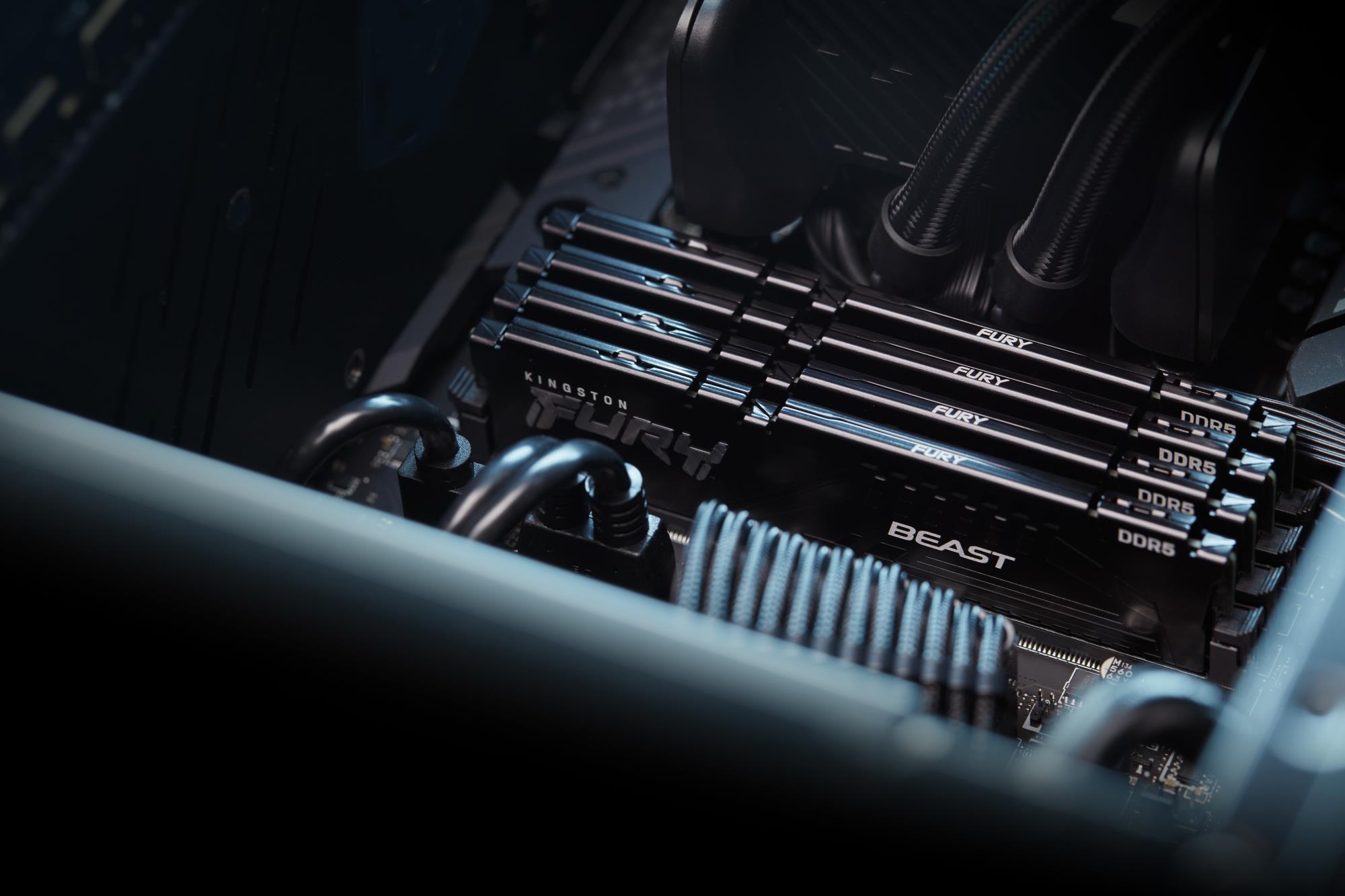 MEMORY DIMM 16GB DDR5-6000/KF560C36BBE2-16 KINGSTON - Image 11