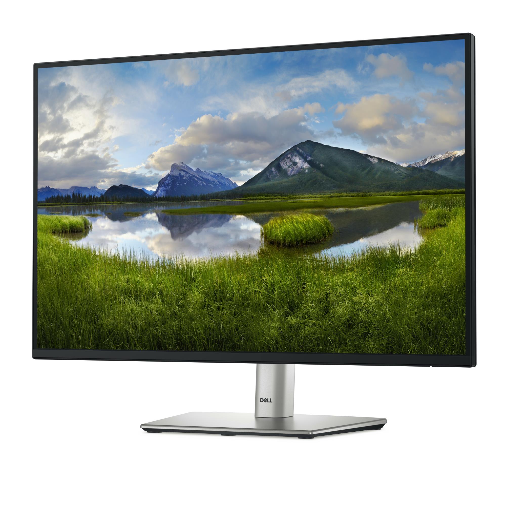 LCD Monitor DELL P2425E 24" Business Panel IPS 1920x1200 16:10 100Hz Matte 8 ms Swivel Pivot Height adjustable Tilt 210-BMJF - Image 18