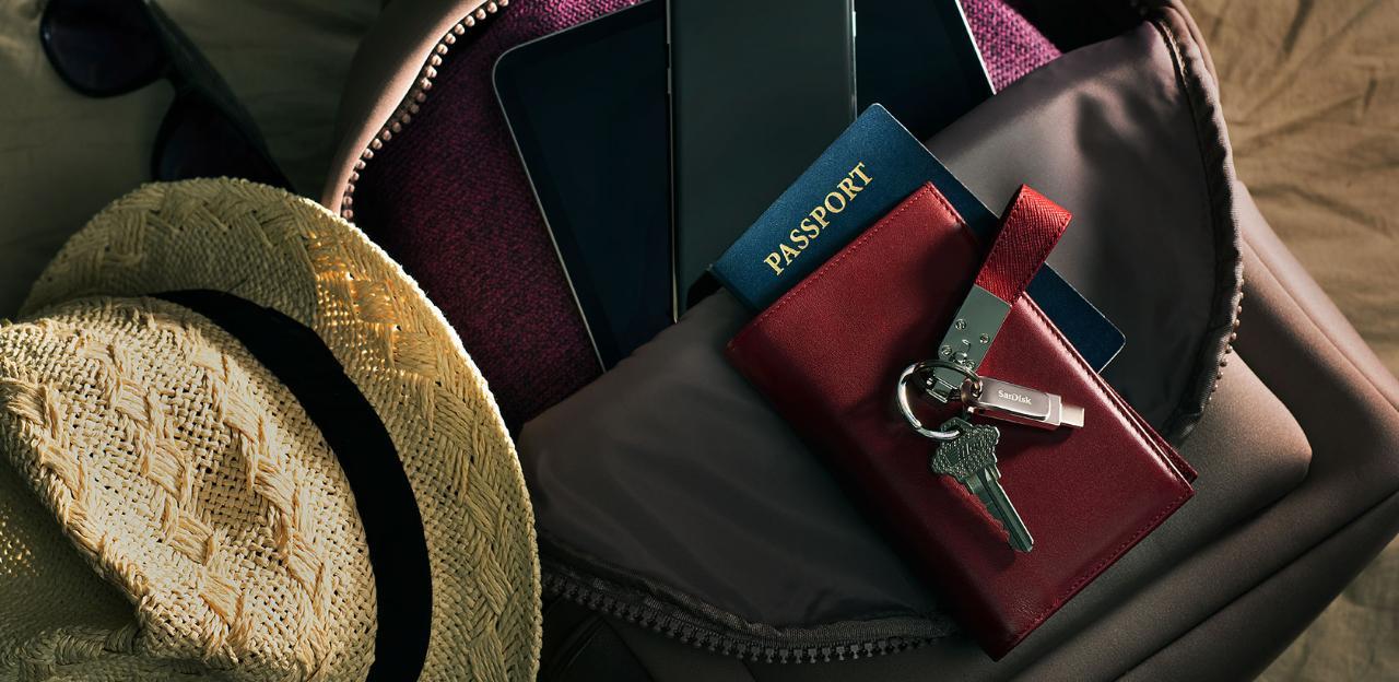 MEMORY DRIVE FLASH USB-C 256GB/SDDDC4-256G-G46 SANDISK - Image 12