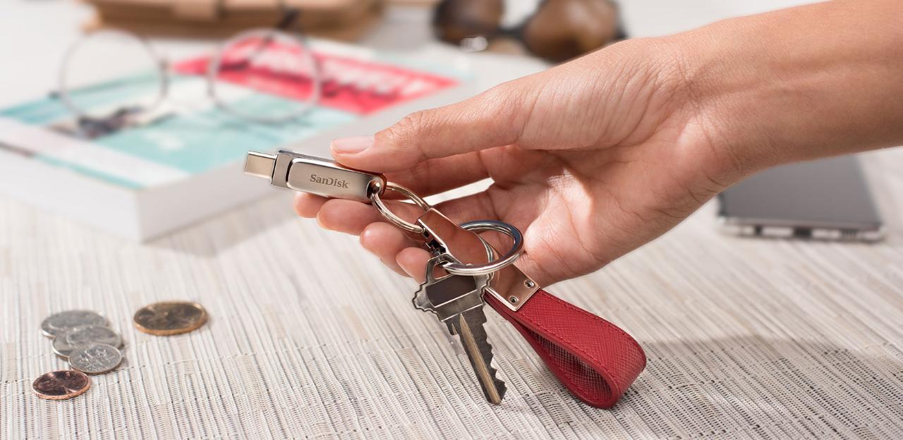 MEMORY DRIVE FLASH USB-C 256GB/SDDDC4-256G-G46 SANDISK - Image 13